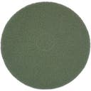 Pad 14" 355 mm ECO Brilliance grön