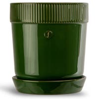 Kruka Elise liten Grön