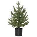 Dekorationsträd Granboda 55 cm