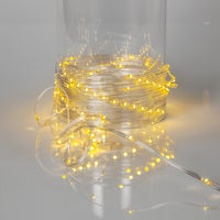 Ljusslinga Dew Drop Micro transparent 36 m varmvit