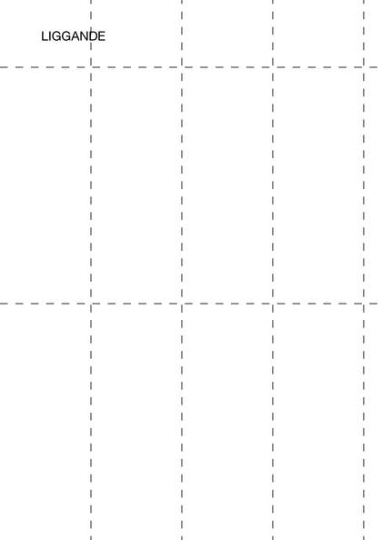 Hylletikettark Liggande A4