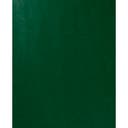 Presentpapper Grön 0,5x5 m