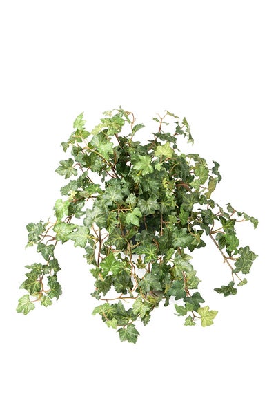 Konstväxt Murgröna 45 cm