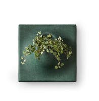 Ljudabsorbent PlantPanel 58x58x21 cm Moss