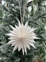 Pappersstjärna Ø 15 cm vit