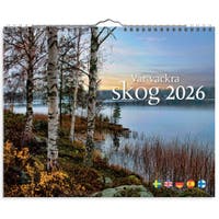 Väggkalender Vår vackra skog 2026