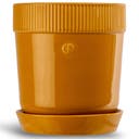 Kruka Elise medium Gul