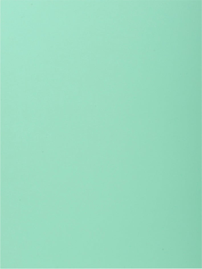 Kartong-/Pappmapp A4 1-klaff