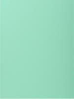 Mapp A4 kartong 1 klaff grön