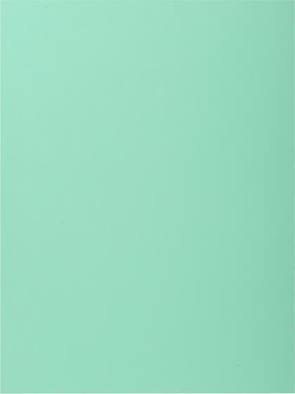 Kartong-/Pappmapp A4 1-klaff