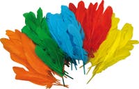 Långa fjädrar 15 cm mix 120/fp