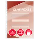 Lamineringsfickor A4 75 mikron hålade 100/fp