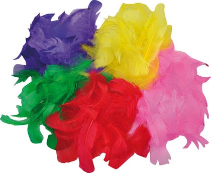 Fjädrar mixade färger och storlekar 200/fp