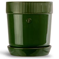 Kruka Elise liten Grön