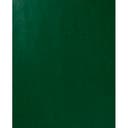 Presentpapper Grön 0,5x5 m
