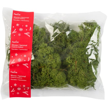 Mossa grön 80 g