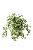 Konstväxt Murgröna 45 cm