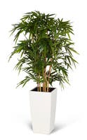 Konstväxt Bambubuske 135 cm