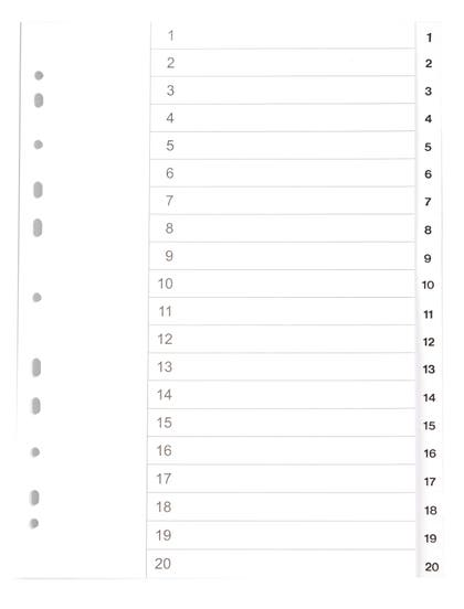 Register vit kartong A4 1-20