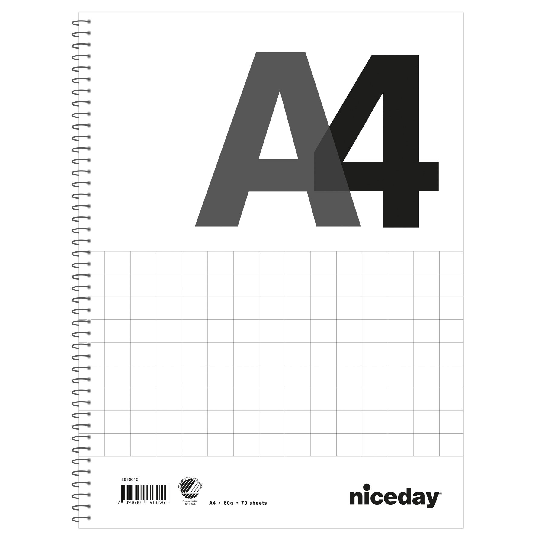 Kollegieblock Niceday 60g 70blad rutat