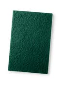 Skurnylon 22x14 cm grön 10/fp