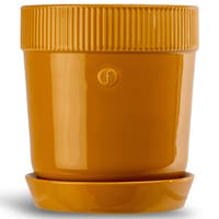 Kruka Elise medium Gul