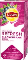 Te Black Currant 25-pack