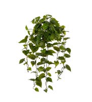 Konstväxt Gullranka 100 cm