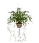 Konstväxt Hoya 65 cm