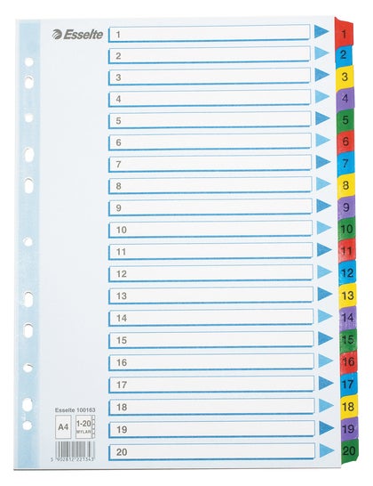 Register Esselte Mylar A4