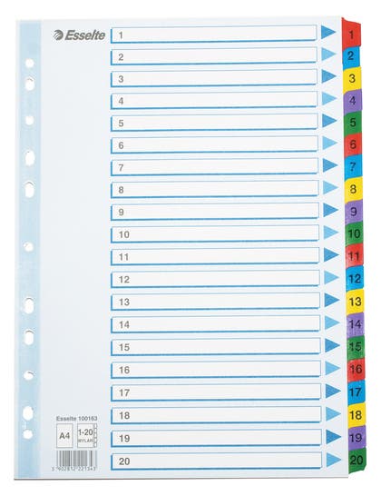 Register Esselte Mylar A4