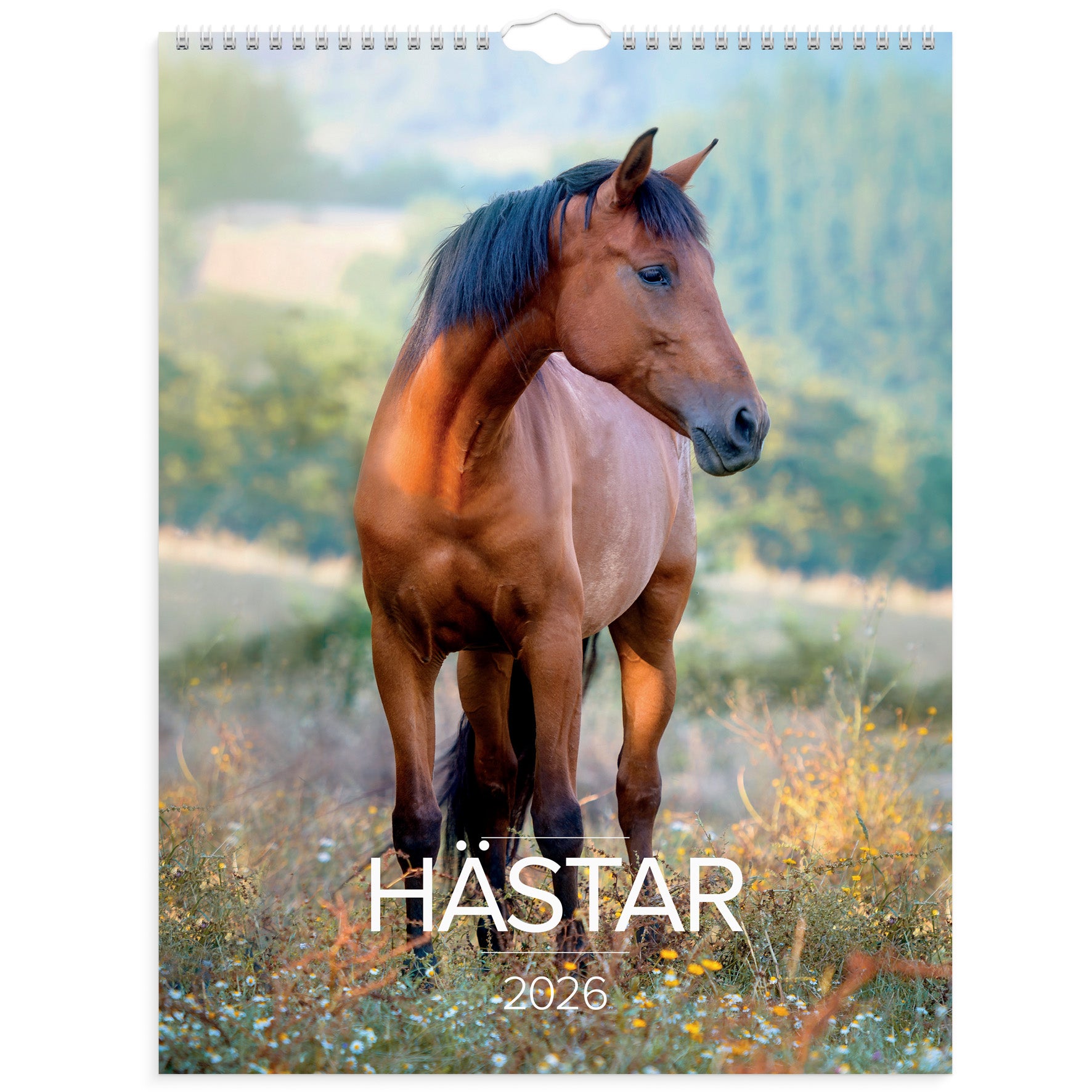 Stora Hästkalendern vägg 2026