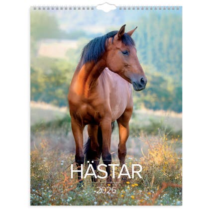 Stora Hästkalendern vägg 2026